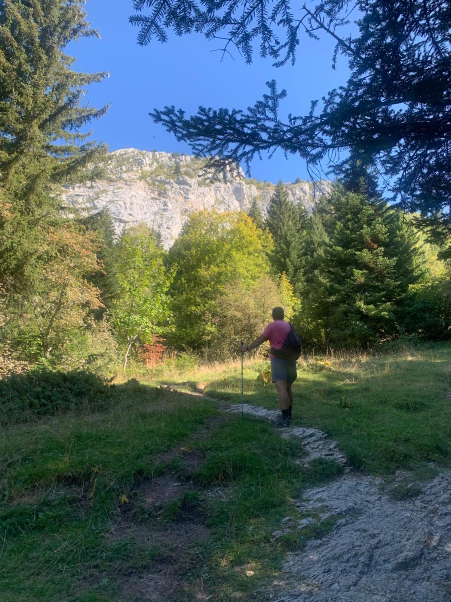 Vercors En Vert , Chambres D'Hotes De Charme Saint-Romans  Экстерьер фото